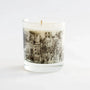 North East Candle Bundle Awesome Botanical