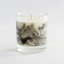 North East Candle Bundle Awesome Botanical